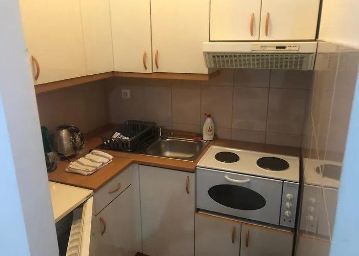 Koviljaca Park アパート